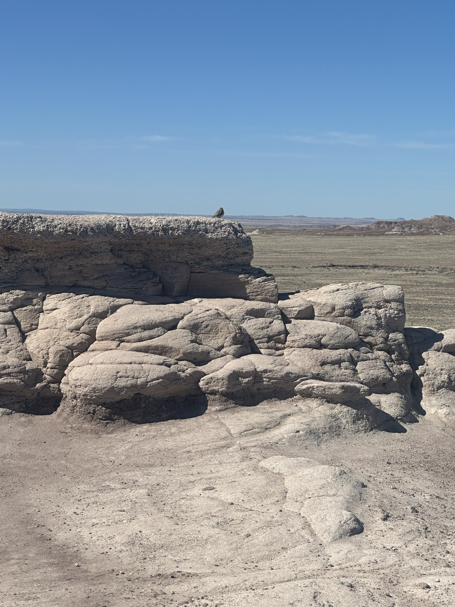 United States-National Parks-Other - Image 590